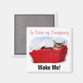 Cute Sleeping Kitten in helder rood mandje op maat Magneet (Voorkant / Achterkant)