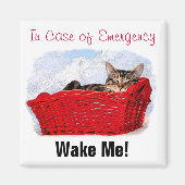 Cute Sleeping Kitten in helder rood mandje op maat Magneet (Voorkant)