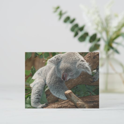 Cute Sleeping Koala Beer Briefkaart (Staand voorkant)