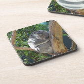 Cute Sleeping Koala in de boom Bier Onderzetter (Linkerzijde)