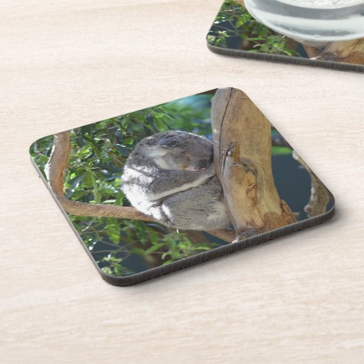 Cute Sleeping Koala in de boom Bier Onderzetter (Linkerzijde)