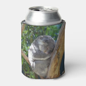 Cute Sleeping Koala in de boom Blikjeskoeler (Blikje Voorkant)