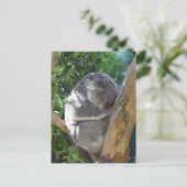 Cute Sleeping Koala in de boom Briefkaart (Staand voorkant)