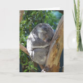 Cute Sleeping Koala in de boom Kaart (Voorkant)
