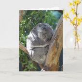 Cute Sleeping Koala in de boom Kaart (Gele Bloem)