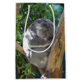 Cute Sleeping Koala in de boom Medium Cadeauzakje (Voorkant)