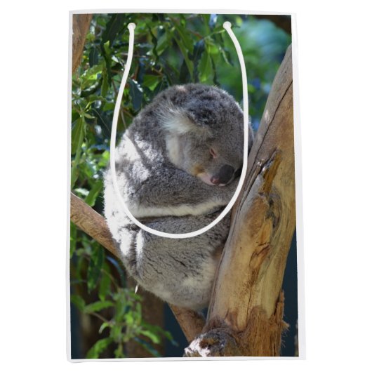 Cute Sleeping Koala in de boom Medium Cadeauzakje (Voorkant)