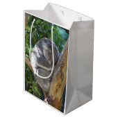 Cute Sleeping Koala in de boom Medium Cadeauzakje (Achterkant Gekanteld)