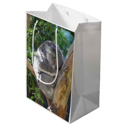 Cute Sleeping Koala in de boom Medium Cadeauzakje (Achterkant Gekanteld)
