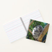 Cute Sleeping Koala in de boom Notitieboek (Binnen)