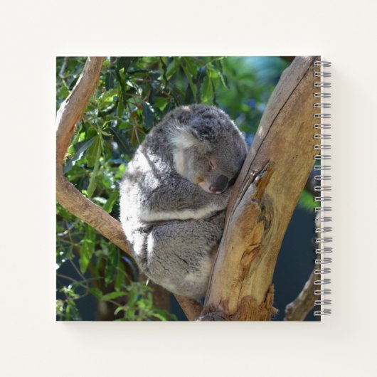 Cute Sleeping Koala in de boom Notitieboek (Achterkant)