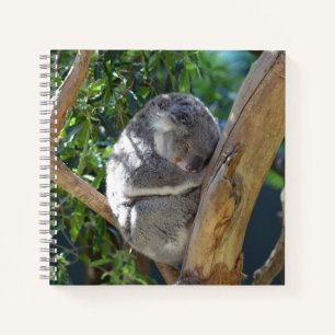 Cute Sleeping Koala in de boom Notitieboek