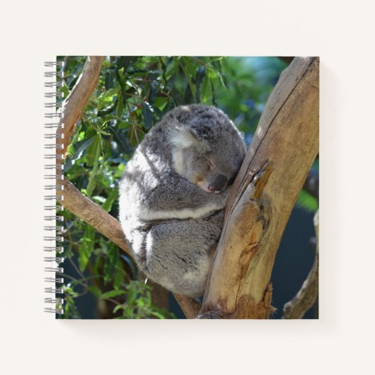 Cute Sleeping Koala in de boom Notitieboek (Voorkant)