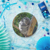 Cute Sleeping Koala in de boom Papieren Bordje (Feest)