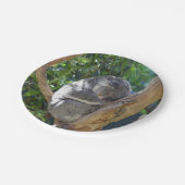 Cute Sleeping Koala in de boom Papieren Bordje (Gekanteld)