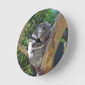 Cute Sleeping Koala in de boom Ronde Klok (Hoek)