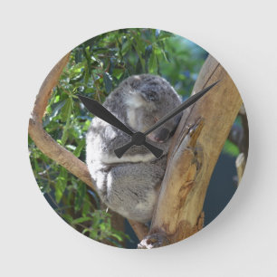 Cute Sleeping Koala in de boom Ronde Klok