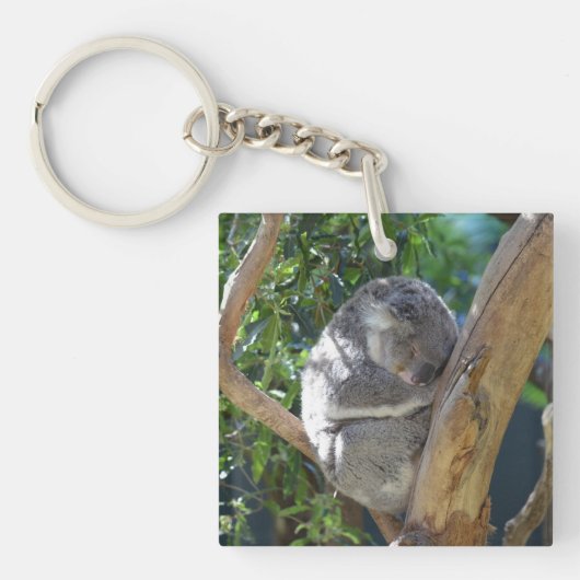 Cute Sleeping Koala in de boom Sleutelhanger (Voorkant)
