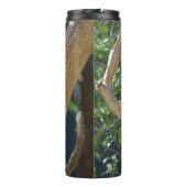 Cute Sleeping Koala in Tree Thermosbeker (Achterkant)