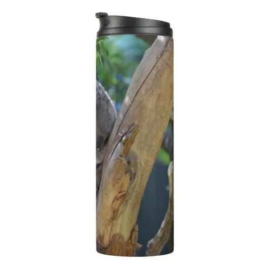 Cute Sleeping Koala in Tree Thermosbeker (Geroteerd rechts)