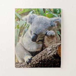 Cute Sleeping Koala Legpuzzel