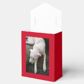 Cute Sleeping Peaceful White Puppy Dog Kerstmis Bedankdoosjes (Geopend)