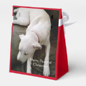 Cute Sleeping Peaceful White Puppy Dog Kerstmis Bedankdoosjes (Achterkant)