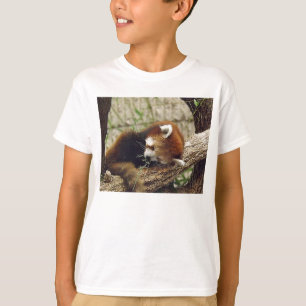 Cute Sleeping Red Panda w/Food in It's Mouth T-shirt