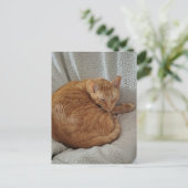 Cute Sleepy Ginger Kitty Briefkaart (Staand voorkant)