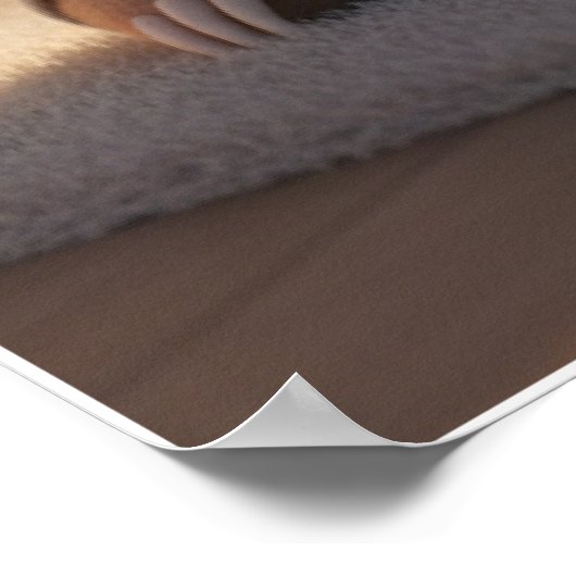 Cute Sleepy Sloth Pajamas Art Poster (Hoek)