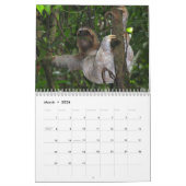 Cute Sloth-Afbeeldingen | Schattige foto's met sle Kalender (Mar 2026)