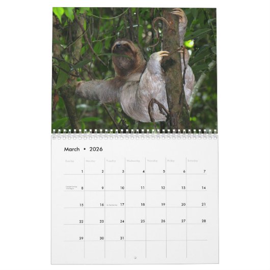 Cute Sloth-Afbeeldingen | Schattige foto's met sle Kalender (Mar 2026)