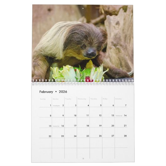 Cute Sloth-Afbeeldingen | Schattige foto's met sle Kalender (Feb 2026)