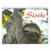 Cute Sloth-Afbeeldingen | Schattige foto's met sle Kalender (Hoes)