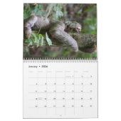 Cute Sloth-Afbeeldingen | Schattige foto's met sle Kalender (Jan 2026)