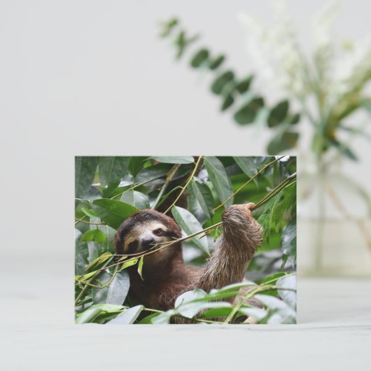 Cute sloth briefkaart (Staand voorkant)
