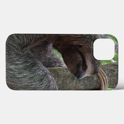 Cute Sloth Case-Mate iPhone Case (Achterkant (horizontaal))