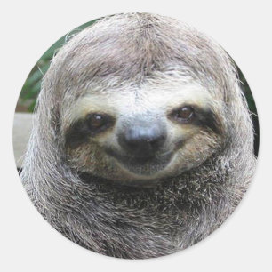 Cute Sloth Face Ronde Sticker