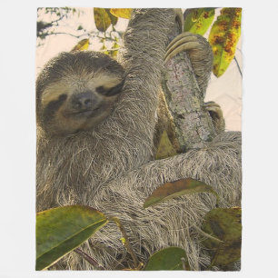 Cute Sloth Fleece Deken