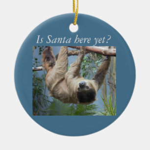Cute Sloth Keramisch Ornament