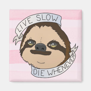 Cute Sloth Magneet