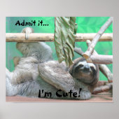 Cute Sloth. Poster (Voorkant)
