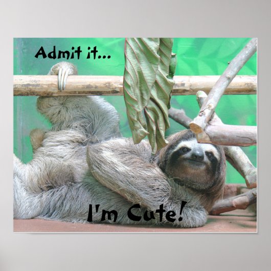 Cute Sloth. Poster (Voorkant)