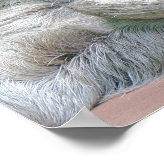 Cute Sloth. Poster (Hoek)