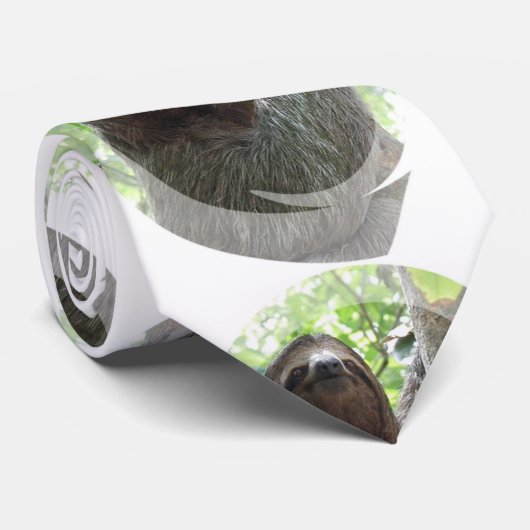 Cute Sloth Stropdas (Opgerold)