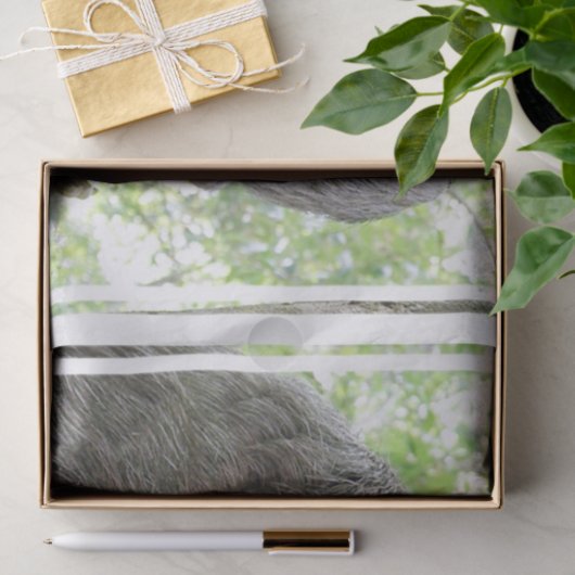 Cute Sloth Tissuepapier (Geschenk)