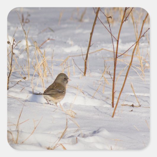 Cute small bird in the snow vierkante sticker (Voorkant)