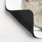 Cute Small Garden Bird Photo Muismat (Hoek)