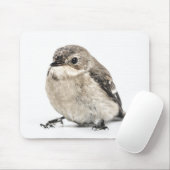 Cute Small Garden Bird Photo Muismat (Met muis)