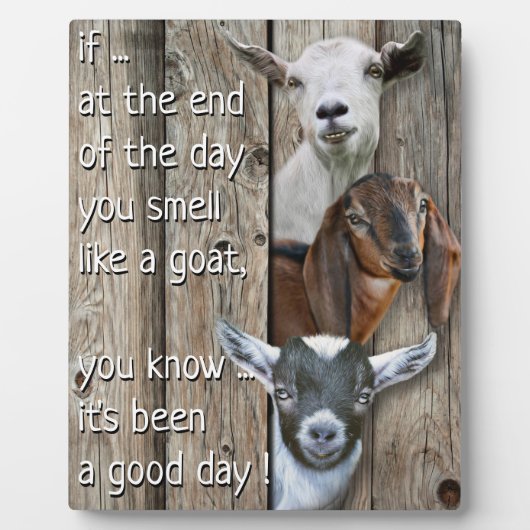 Cute Smell als een gedicht Fotoplaat (Voorkant)